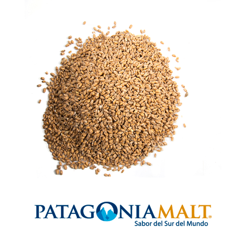 Malta Munich (Patagonia Malt) x kilo