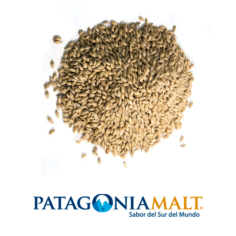 Malta Pale Ale (Patagonia Malt) x kilo