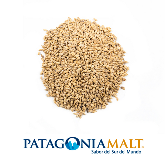 Malta Pilsen (Patagonia Malt) x kilo