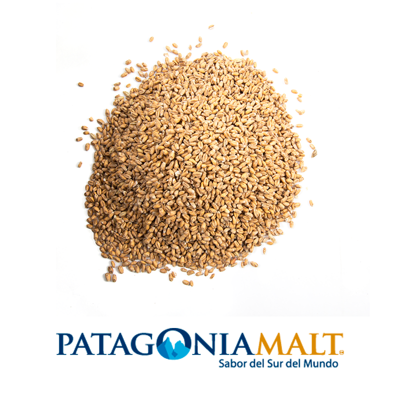Trigo Malteado (Patagonia Malt) x kilo